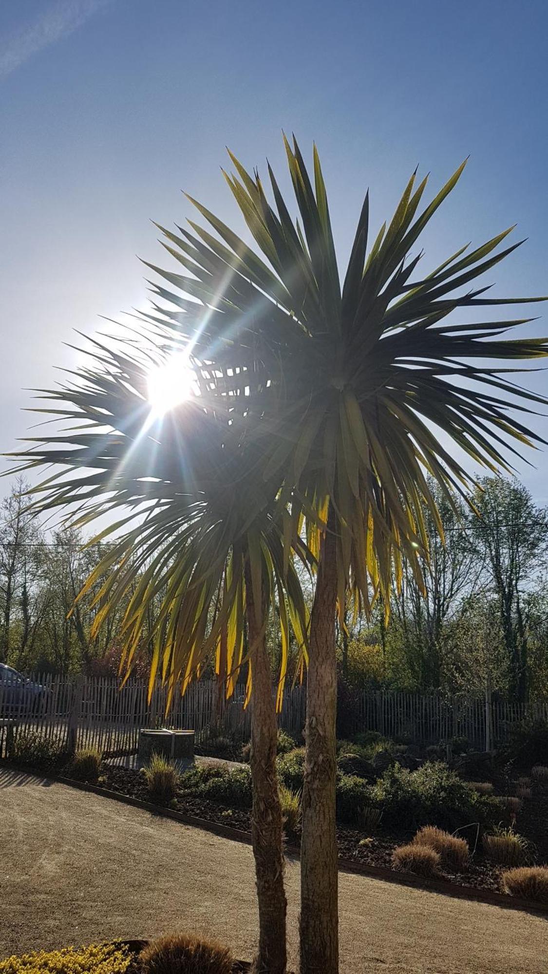 Les Gites Du Haut Pin Calorguen Exterior foto